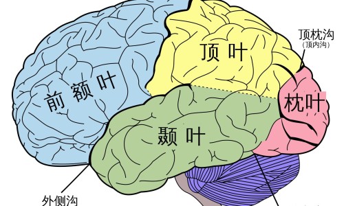 白血病人摸过的东西可以摸吗专区_白血病人用过的东西还能用吗专区_用白血病人用过的东西网