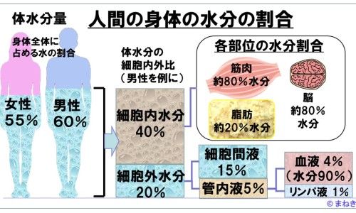 白血病患者用过的碗筷-白血病人摸过的东西可以摸吗专区_白血病人用过的东西还能用吗专区_用白血病人用过的东西网